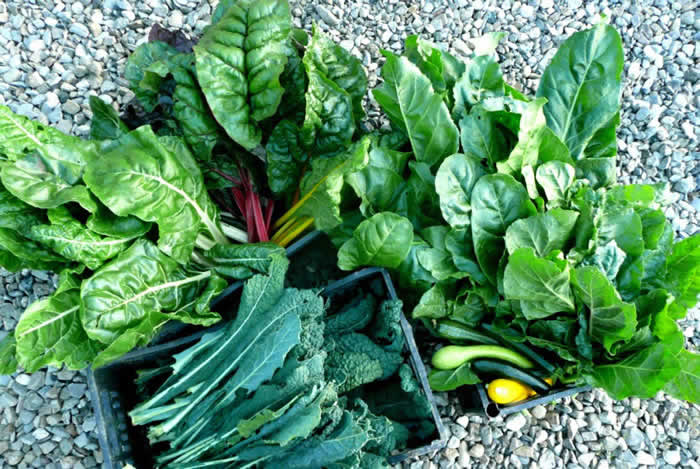 Coupe-faim naturel: Légumes à feuilles vertes