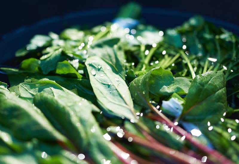 Les légumes feuillus verts apportent beaucoup de vitamies et minéraux à vos smoothies